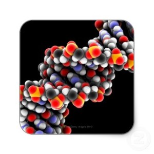http://www.zazzle.com/dna_molecule_molecular_model_of_dna_stickers-217413081092969187